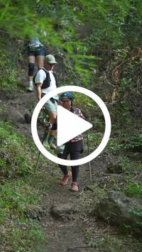 BIB:  <button type="button" onclick="openModal(28154782)" class="btn btn-primary btn-sm float-right" data-toggle="modal" data-target=".modal-high-quality">
                <i class="fa fa-download"></i> Download
                </button>