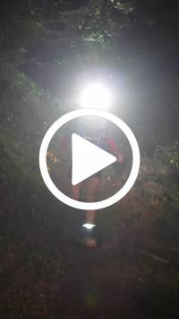 BIB:  <button type="button" onclick="openModal(28153919)" class="btn btn-primary btn-sm float-right" data-toggle="modal" data-target=".modal-high-quality">
                <i class="fa fa-download"></i> Download
                </button>