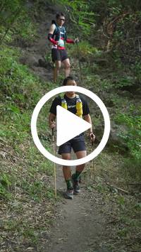 BIB:  <button type="button" onclick="openModal(28154792)" class="btn btn-primary btn-sm float-right" data-toggle="modal" data-target=".modal-high-quality">
                <i class="fa fa-download"></i> Download
                </button>