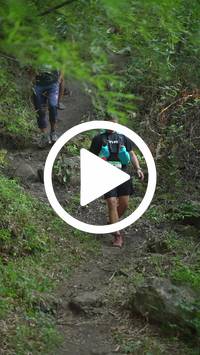 BIB:  <button type="button" onclick="openModal(28154757)" class="btn btn-primary btn-sm float-right" data-toggle="modal" data-target=".modal-high-quality">
                <i class="fa fa-download"></i> Download
                </button>