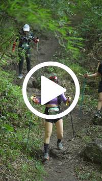 BIB:  <button type="button" onclick="openModal(28154840)" class="btn btn-primary btn-sm float-right" data-toggle="modal" data-target=".modal-high-quality">
                <i class="fa fa-download"></i> Download
                </button>