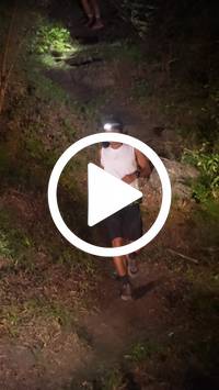 BIB:  <button type="button" onclick="openModal(28153702)" class="btn btn-primary btn-sm float-right" data-toggle="modal" data-target=".modal-high-quality">
                <i class="fa fa-download"></i> Download
                </button>