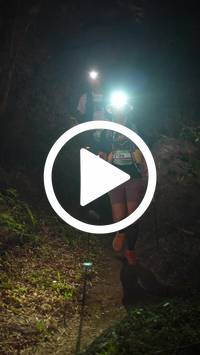 BIB:  <button type="button" onclick="openModal(28154027)" class="btn btn-primary btn-sm float-right" data-toggle="modal" data-target=".modal-high-quality">
                <i class="fa fa-download"></i> Download
                </button>