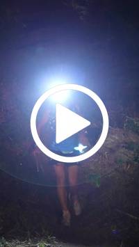 BIB:  <button type="button" onclick="openModal(28153617)" class="btn btn-primary btn-sm float-right" data-toggle="modal" data-target=".modal-high-quality">
                <i class="fa fa-download"></i> Download
                </button>