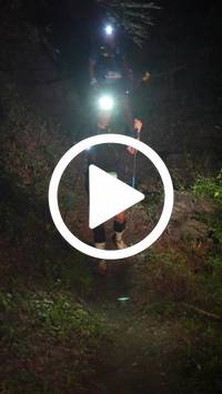 BIB:  <button type="button" onclick="openModal(28153671)" class="btn btn-primary btn-sm float-right" data-toggle="modal" data-target=".modal-high-quality">
                <i class="fa fa-download"></i> Download
                </button>