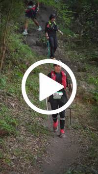 BIB:  <button type="button" onclick="openModal(28154415)" class="btn btn-primary btn-sm float-right" data-toggle="modal" data-target=".modal-high-quality">
                <i class="fa fa-download"></i> Download
                </button>