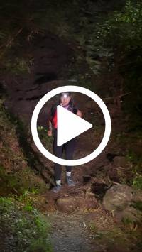 BIB:  <button type="button" onclick="openModal(28153551)" class="btn btn-primary btn-sm float-right" data-toggle="modal" data-target=".modal-high-quality">
                <i class="fa fa-download"></i> Download
                </button>