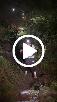 BIB:  <button type="button" onclick="openModal(28154085)" class="btn btn-primary btn-sm float-right" data-toggle="modal" data-target=".modal-high-quality">
                <i class="fa fa-download"></i> Download
                </button>