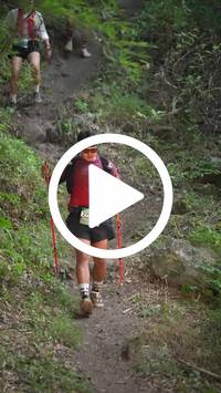 BIB:  <button type="button" onclick="openModal(28154516)" class="btn btn-primary btn-sm float-right" data-toggle="modal" data-target=".modal-high-quality">
                <i class="fa fa-download"></i> Download
                </button>