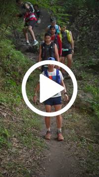 BIB:  <button type="button" onclick="openModal(28154542)" class="btn btn-primary btn-sm float-right" data-toggle="modal" data-target=".modal-high-quality">
                <i class="fa fa-download"></i> Download
                </button>