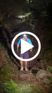 BIB:  <button type="button" onclick="openModal(28153581)" class="btn btn-primary btn-sm float-right" data-toggle="modal" data-target=".modal-high-quality">
                <i class="fa fa-download"></i> Download
                </button>