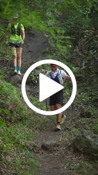 BIB:  <button type="button" onclick="openModal(28154651)" class="btn btn-primary btn-sm float-right" data-toggle="modal" data-target=".modal-high-quality">
                <i class="fa fa-download"></i> Download
                </button>