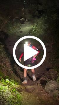 BIB:  <button type="button" onclick="openModal(28153762)" class="btn btn-primary btn-sm float-right" data-toggle="modal" data-target=".modal-high-quality">
                <i class="fa fa-download"></i> Download
                </button>