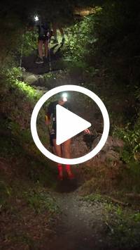 BIB:  <button type="button" onclick="openModal(28154037)" class="btn btn-primary btn-sm float-right" data-toggle="modal" data-target=".modal-high-quality">
                <i class="fa fa-download"></i> Download
                </button>