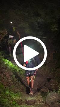 BIB:  <button type="button" onclick="openModal(28153833)" class="btn btn-primary btn-sm float-right" data-toggle="modal" data-target=".modal-high-quality">
                <i class="fa fa-download"></i> Download
                </button>