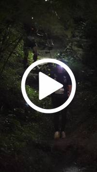 BIB:  <button type="button" onclick="openModal(28154189)" class="btn btn-primary btn-sm float-right" data-toggle="modal" data-target=".modal-high-quality">
                <i class="fa fa-download"></i> Download
                </button>