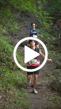 BIB:  <button type="button" onclick="openModal(28154594)" class="btn btn-primary btn-sm float-right" data-toggle="modal" data-target=".modal-high-quality">
                <i class="fa fa-download"></i> Download
                </button>