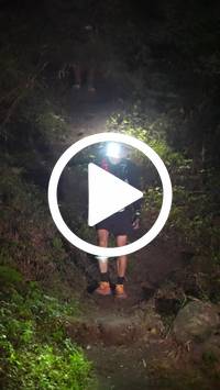 BIB:  <button type="button" onclick="openModal(28153945)" class="btn btn-primary btn-sm float-right" data-toggle="modal" data-target=".modal-high-quality">
                <i class="fa fa-download"></i> Download
                </button>