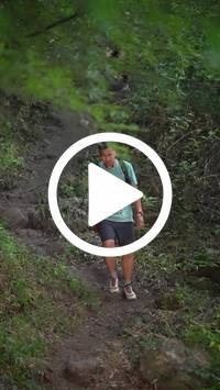 BIB:  <button type="button" onclick="openModal(28154347)" class="btn btn-primary btn-sm float-right" data-toggle="modal" data-target=".modal-high-quality">
                <i class="fa fa-download"></i> Download
                </button>