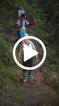 BIB:  <button type="button" onclick="openModal(28154325)" class="btn btn-primary btn-sm float-right" data-toggle="modal" data-target=".modal-high-quality">
                <i class="fa fa-download"></i> Download
                </button>