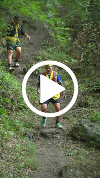 BIB:  <button type="button" onclick="openModal(28154866)" class="btn btn-primary btn-sm float-right" data-toggle="modal" data-target=".modal-high-quality">
                <i class="fa fa-download"></i> Download
                </button>