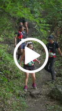 BIB:  <button type="button" onclick="openModal(28154798)" class="btn btn-primary btn-sm float-right" data-toggle="modal" data-target=".modal-high-quality">
                <i class="fa fa-download"></i> Download
                </button>