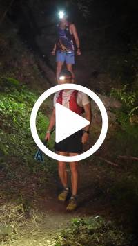 BIB:  <button type="button" onclick="openModal(28153822)" class="btn btn-primary btn-sm float-right" data-toggle="modal" data-target=".modal-high-quality">
                <i class="fa fa-download"></i> Download
                </button>