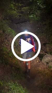 BIB:  <button type="button" onclick="openModal(28153821)" class="btn btn-primary btn-sm float-right" data-toggle="modal" data-target=".modal-high-quality">
                <i class="fa fa-download"></i> Download
                </button>