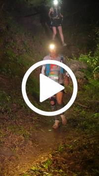 BIB:  <button type="button" onclick="openModal(28153653)" class="btn btn-primary btn-sm float-right" data-toggle="modal" data-target=".modal-high-quality">
                <i class="fa fa-download"></i> Download
                </button>