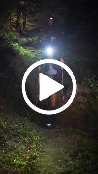 BIB:  <button type="button" onclick="openModal(28154034)" class="btn btn-primary btn-sm float-right" data-toggle="modal" data-target=".modal-high-quality">
                <i class="fa fa-download"></i> Download
                </button>