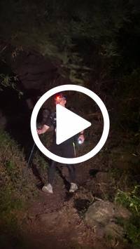 BIB:  <button type="button" onclick="openModal(28154165)" class="btn btn-primary btn-sm float-right" data-toggle="modal" data-target=".modal-high-quality">
                <i class="fa fa-download"></i> Download
                </button>