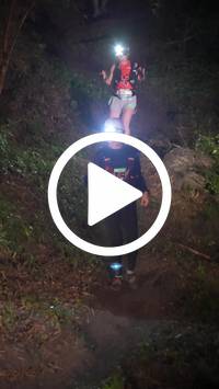 BIB:  <button type="button" onclick="openModal(28154119)" class="btn btn-primary btn-sm float-right" data-toggle="modal" data-target=".modal-high-quality">
                <i class="fa fa-download"></i> Download
                </button>