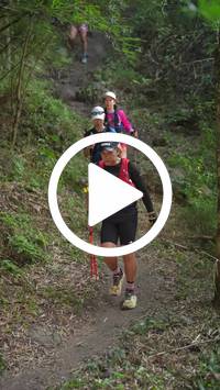 BIB:  <button type="button" onclick="openModal(28154555)" class="btn btn-primary btn-sm float-right" data-toggle="modal" data-target=".modal-high-quality">
                <i class="fa fa-download"></i> Download
                </button>