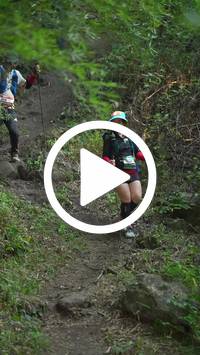 BIB:  <button type="button" onclick="openModal(28154751)" class="btn btn-primary btn-sm float-right" data-toggle="modal" data-target=".modal-high-quality">
                <i class="fa fa-download"></i> Download
                </button>