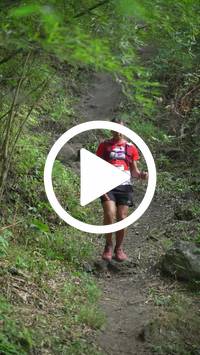 BIB:  <button type="button" onclick="openModal(28154679)" class="btn btn-primary btn-sm float-right" data-toggle="modal" data-target=".modal-high-quality">
                <i class="fa fa-download"></i> Download
                </button>