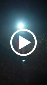 BIB:  <button type="button" onclick="openModal(28154123)" class="btn btn-primary btn-sm float-right" data-toggle="modal" data-target=".modal-high-quality">
                <i class="fa fa-download"></i> Download
                </button>