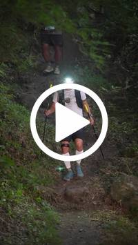 BIB:  <button type="button" onclick="openModal(28154278)" class="btn btn-primary btn-sm float-right" data-toggle="modal" data-target=".modal-high-quality">
                <i class="fa fa-download"></i> Download
                </button>