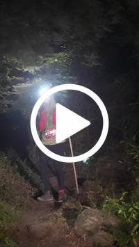 BIB:  <button type="button" onclick="openModal(28153788)" class="btn btn-primary btn-sm float-right" data-toggle="modal" data-target=".modal-high-quality">
                <i class="fa fa-download"></i> Download
                </button>