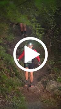 BIB:  <button type="button" onclick="openModal(28154241)" class="btn btn-primary btn-sm float-right" data-toggle="modal" data-target=".modal-high-quality">
                <i class="fa fa-download"></i> Download
                </button>