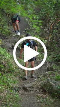 BIB:  <button type="button" onclick="openModal(28154759)" class="btn btn-primary btn-sm float-right" data-toggle="modal" data-target=".modal-high-quality">
                <i class="fa fa-download"></i> Download
                </button>