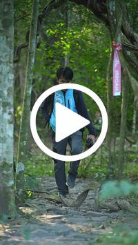 BIB:  <button type="button" onclick="openModal(28061593)" class="btn btn-primary btn-sm float-right" data-toggle="modal" data-target=".modal-high-quality">
                <i class="fa fa-download"></i> Download
                </button>