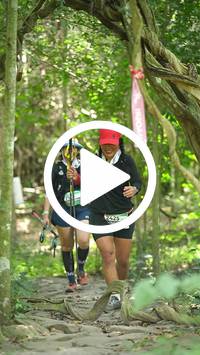 BIB:  <button type="button" onclick="openModal(28126888)" class="btn btn-primary btn-sm float-right" data-toggle="modal" data-target=".modal-high-quality">
                <i class="fa fa-download"></i> Download
                </button>