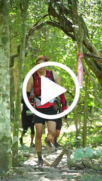 BIB:  <button type="button" onclick="openModal(28122428)" class="btn btn-primary btn-sm float-right" data-toggle="modal" data-target=".modal-high-quality">
                <i class="fa fa-download"></i> Download
                </button>