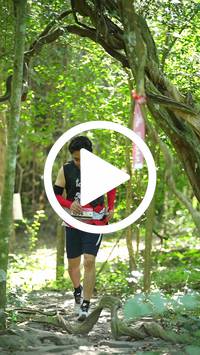 BIB:  <button type="button" onclick="openModal(28123055)" class="btn btn-primary btn-sm float-right" data-toggle="modal" data-target=".modal-high-quality">
                <i class="fa fa-download"></i> Download
                </button>