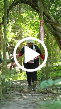 BIB:  <button type="button" onclick="openModal(28125951)" class="btn btn-primary btn-sm float-right" data-toggle="modal" data-target=".modal-high-quality">
                <i class="fa fa-download"></i> Download
                </button>