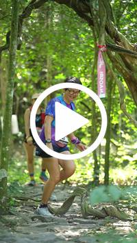 BIB:  <button type="button" onclick="openModal(28119948)" class="btn btn-primary btn-sm float-right" data-toggle="modal" data-target=".modal-high-quality">
                <i class="fa fa-download"></i> Download
                </button>