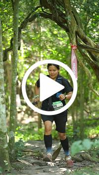 BIB:  <button type="button" onclick="openModal(28126630)" class="btn btn-primary btn-sm float-right" data-toggle="modal" data-target=".modal-high-quality">
                <i class="fa fa-download"></i> Download
                </button>