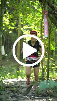 BIB:  <button type="button" onclick="openModal(28115104)" class="btn btn-primary btn-sm float-right" data-toggle="modal" data-target=".modal-high-quality">
                <i class="fa fa-download"></i> Download
                </button>