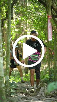 BIB:  <button type="button" onclick="openModal(28126841)" class="btn btn-primary btn-sm float-right" data-toggle="modal" data-target=".modal-high-quality">
                <i class="fa fa-download"></i> Download
                </button>