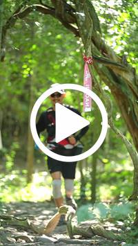 BIB:  <button type="button" onclick="openModal(28122282)" class="btn btn-primary btn-sm float-right" data-toggle="modal" data-target=".modal-high-quality">
                <i class="fa fa-download"></i> Download
                </button>